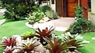 MOST SAMPLE AND BEAUTIFUL GARDEN