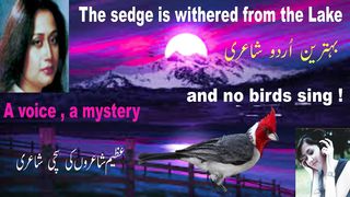 urdu poetry