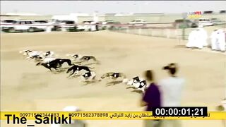 نهائي بطولة سلطان بن زايد -سويحان- شوط الذيخه(720