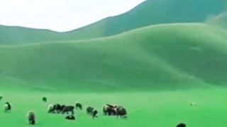 Farah valley Afghanistan