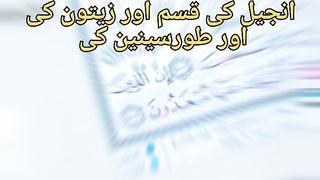 Islamic vadio