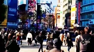 Beauty of world Tokyo Japan#Tokyo#japantravel /