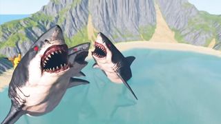 Car crash into Scary Sharks