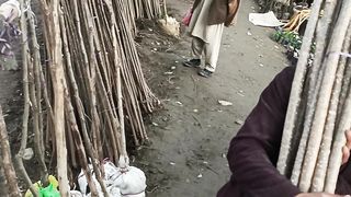 Spring season plantation in Pakistan