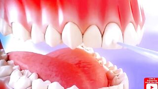 Fix Teeth Braces Orthodontics Treatment