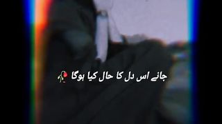 #Jane_is_Dil_ka_hal_kya_hoga❣️????