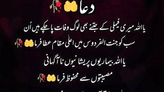 Shaby miraj Mubarak