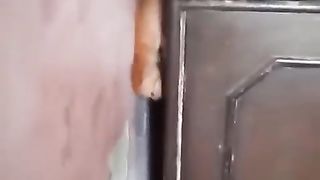 New cat funny videos stunts very funny videos