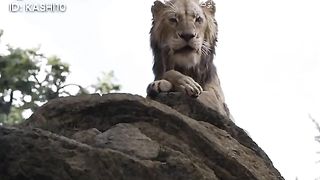 The loin king # part 2 - mowgli cartoon-animated cartoon 2023