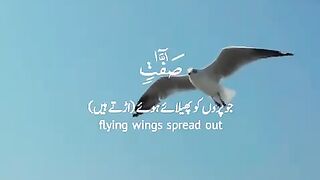 Tilawat Quran#Shortvedio#Beautifullshort