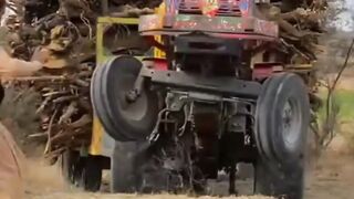 Funny video