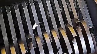 experiment video