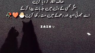 Whatsapp Status