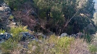 Nice video