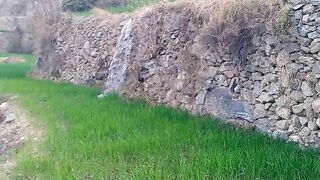 کندم ابپاشی