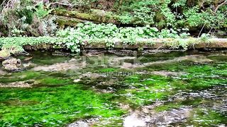 Beauty of water