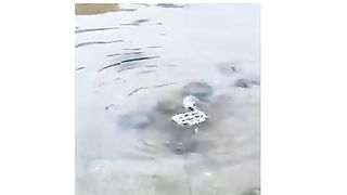 ???????????????????????? ???????? ????????????????