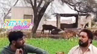 Funny TikTok video