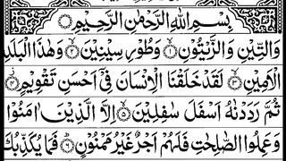 Surat At-Tin (The Fig) | Mishary Rashid Alafasy | سورة التين With Arabic Text