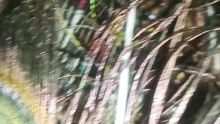 Amazing natural colour