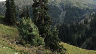 Kumrat Beauty. Northern Areas