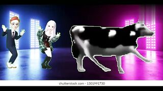 funny cow dance