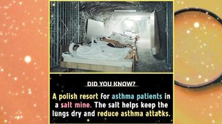 World Different Amazing Facts That you Should Know | Did You Know Facts | Random interesting Facts