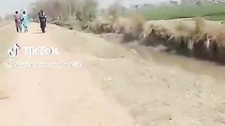 TikTok video to Facebook