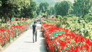 Nishat Mughal Garden kashmir beautiful view