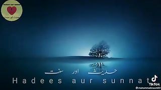 Islamic Motivation