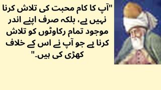 Sayings of Maulana Rumi