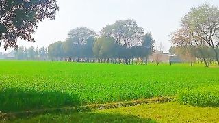 Beautiful village life.