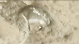 مانسہرہ میں قبر کشائی کے دران ایک شہید کی پرانی قبر سے خون نکل رہا ہے