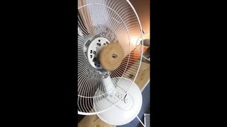 UNUSUAL MEMES COMPILATION 1
