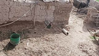 Beauty of village