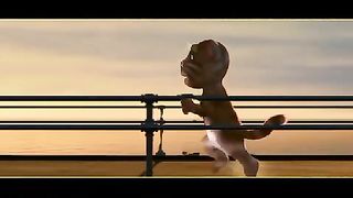Funny video