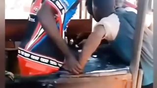 Funny Videos Compilation