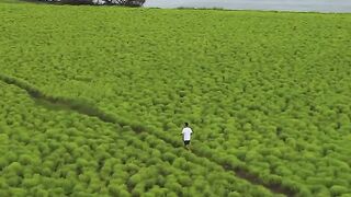 Most Beautiful place in the world |Beautiful nature video | follow
