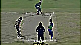 Beautiful shot