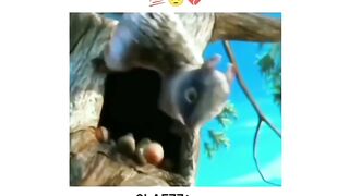 Shorts Video for Life