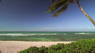 Lost Season 2 Episode 7
