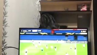 Naughty cat |broken LED
