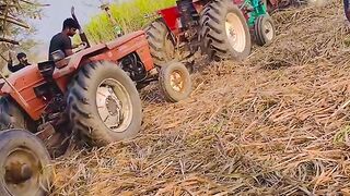 Pakistani new video 2023
