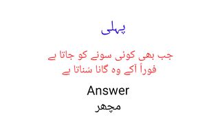 #sawal jawab #pheli # Urdu phli