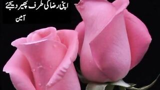 Dua kary sab log