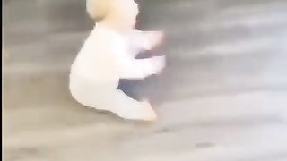 funny babies videos 2022 Try Not To Laugh 54 shorts baby