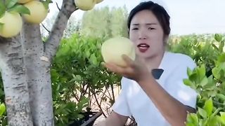 Fruits