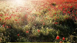 Islamic whats app status beautiful voice
