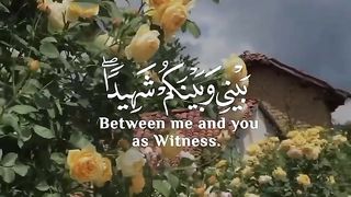 Islamic_video