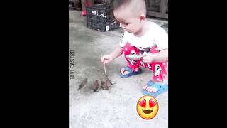 Birds orBaby funny videos 2023